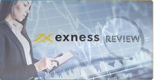 Guide to Exness Accounts Find the Best Account Type for You